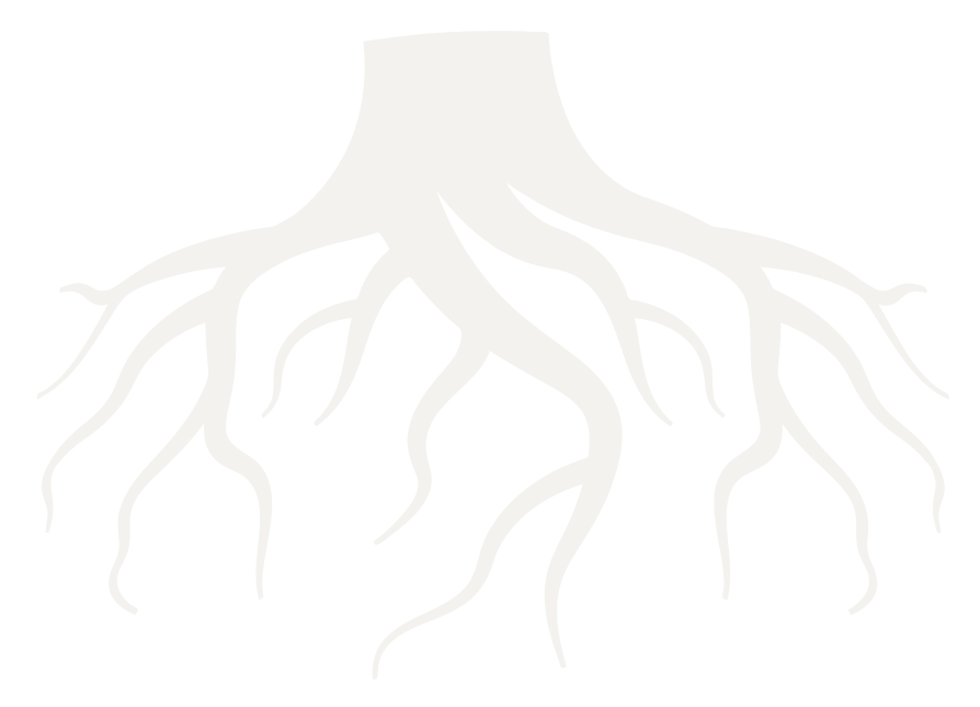 Chiropractor Charlotte NC Tree